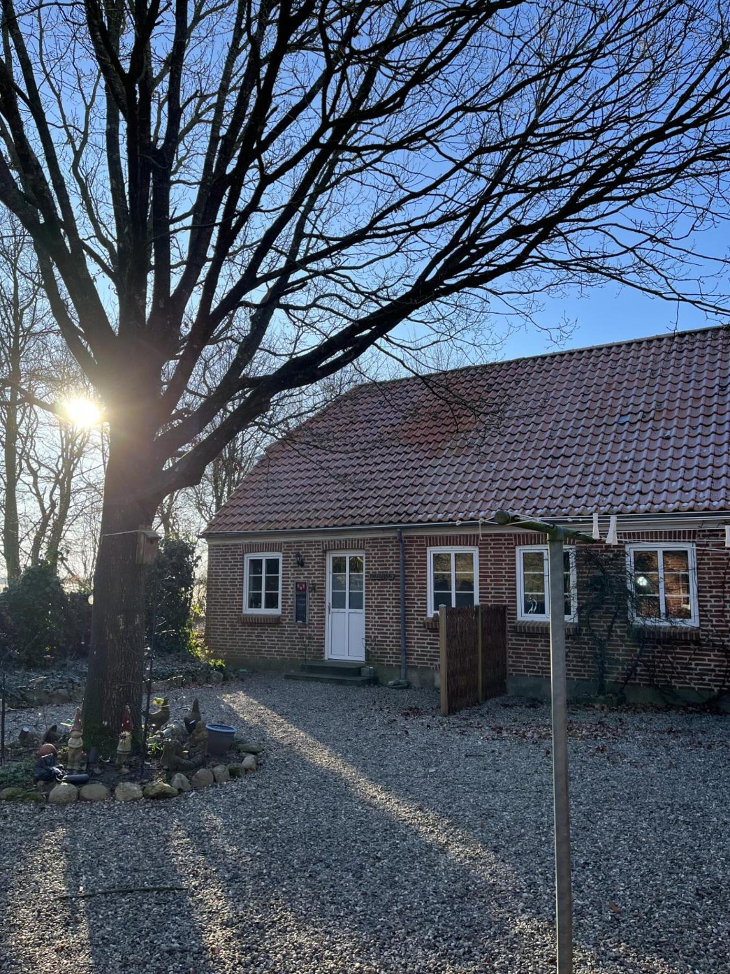Familiehuis Boysen Appartementen 里伯 外观 照片